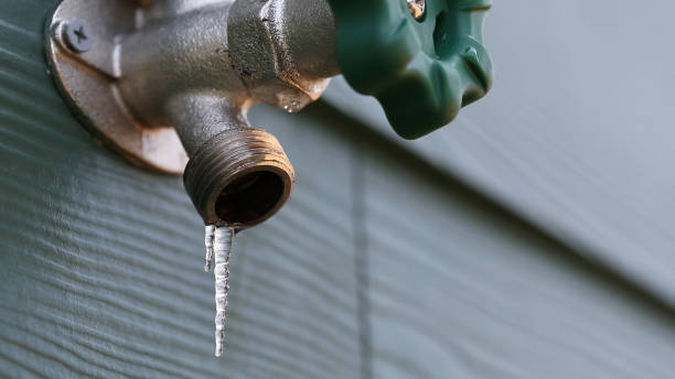 Best Water Leak Repair  in Delavan, IL