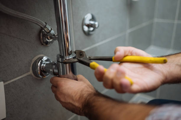 Best Commercial Plumbing Services  in Delavan, IL