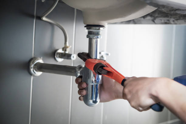 Best Plumbing Services Near Me  in Delavan, IL